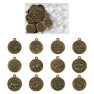 DIY 12Pcs 12 Constellations Pendant Making Kits, Including Alloy Pendants Settings and Half Round Transparent Glass Cabochons, Antique Bronze, Setting: Tray: 20mm, 28x23mm(DIY-CD0001-13)