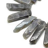 Natural Labradorite Beads Strands, Top Drilled Beads, Rectangle, 20~65x7~15x6~10mm, Hole: 2mm, about 30~40pcs/strand, 15.75 inch(40cm)(G-R419-03)