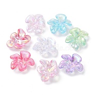 UV Plating Rainbow Iridescent Acrylic Imitation Shell Bead Caps, 5-Petal Flower, Mixed Color, 20x24x9mm, Hole: 1.5mm, about 390pcs/500g(MACR-D073-01)