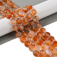 Natural Flower Agate Bead Strands, Faceted Hexagon Cut Coin Beads, Flat Round, 10~10.5x10.5~11x5.5~6mm, Hole: 1mm, about 29pcs/strand, 14.76 inch(37.5cm)(G-NH0013-A01-01)