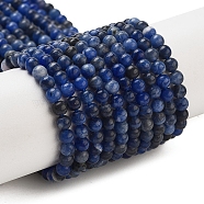 Natural Sodalite Beads Strands, Round, 3mm, Hole: 0.7mm, about 110pcs/strand, 14.96''(38cm)(G-G143-A03-01)