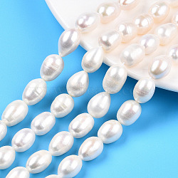 Natural Cultured Freshwater Pearl Beads Strands, Rice, Creamy White, 12.5~18.5x9.5~11.5mm, Hole: 0.8mm, about 23~26pcs/strand, 14.80 inch~15.39 inch(37.6~39.1cm)(PEAR-N012-10B)
