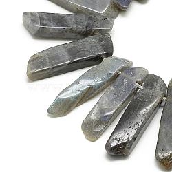 Natural Labradorite Beads Strands, Top Drilled Beads, Rectangle, 20~65x7~15x6~10mm, Hole: 2mm, about 30~40pcs/strand, 15.75 inch(40cm)(G-R419-03)