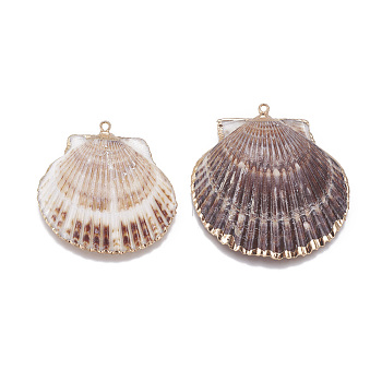 Electroplate Shell Pendants, with Brass Findings, Shell, Golden, 40~51x41~48x7~10mm, Hole: 2mm