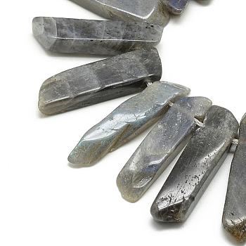 Natural Labradorite Beads Strands, Top Drilled Beads, Rectangle, 20~65x7~15x6~10mm, Hole: 2mm, about 30~40pcs/strand, 15.75 inch(40cm)