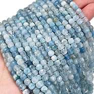 Natural Aquamarine Beads Strands, Faceted, Cube, 4~5x4~5x4~5mm, Hole: 0.7mm, about 98pcs/strand, 15.35 inch(39cm)(G-L587-C02-01)