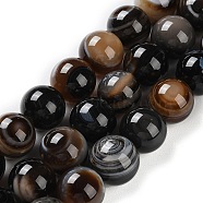 Natural Eye Agate Beads Strands, Striped Agate/Banded Agate Beads, Dyed & Heated, Round, 14mm, Hole: 2mm, about 29pcs/strand, 15.75''(40cm)(G-NH0019-F01-02)