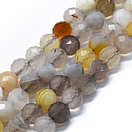Natural Botswana Agate Beads Strands, Faceted(64 Facets), Round, 6mm, Hole: 0.8mm, about 62~67pcs/strand, 15.16~15.55 inch(38.5~39.5cm)(G-G927-17A)