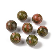 Natural Unakite No Hole Sphere Beads, Round, 14mm(G-K353-04C-05)