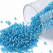 TOHO Round Seed Beads, Japanese Seed Beads, (23BF) Silver Lined Frost Dark Aquamarine, 15/0, 1.5mm, Hole: 0.7mm, about 3000pcs/10g(X-SEED-TR15-0023BF)