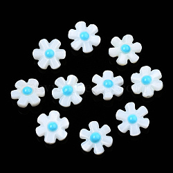 Natural Freshwater Shell Enamel Beads, Flower, Deep Sky Blue, 12x12x4mm, Hole: 0.8mm(SHEL-N003-27A)