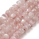 Natural White Shell Dyed Beads Strands(BSHE-Z005-03D)-1