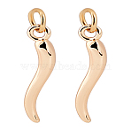 2Pcs Brass Pendants, Pepper Charms, Golden, 24mm, 2pcs/set(PALLOY-LP00003)
