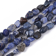 Natural Sodalite Beads Strands, Nuggets, Tumbled Stone, 5~11x5~8x3~6mm, Hole: 0.8mm, about: 52~56pcs/Strand, 15.94 inch(40.5cm)(G-S363-045)