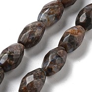 Natural Llanite Beads Strands, Faceted Rice, 12.5x8mm, Hole: 1.2mm, about 16pcs/strand, 7.68 inch(19.5cm)(G-P520-C24-01)