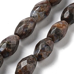 Natural Glaucophane Beads Strands, Faceted Rice, 12.5x8mm, Hole: 1.2mm, about 16pcs/strand, 7.68 inch(19.5cm)(G-P520-C24-01)