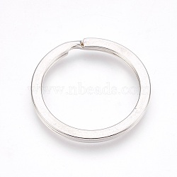 Alloy Split Key Rings, Keychain Clasp Findings, Platinum, 28x2mm, Inner Diameter: 22mm(X-PALLOY-TAC0001-01A-P)