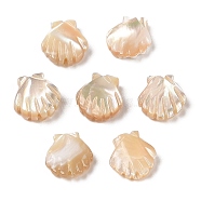 Natural Trochus Shell Carved Beads, Shell Shape, Seashell Color, 11x10x3.5mm, Hole: 0.8mm(SHEL-P017-08A)