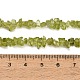 Natural Peridot Beads Strands(GG-CBA3182-01)-5