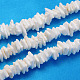 Natural Sea Shell Chips Beads Strands(BSHE-Q024-02)-1