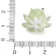 handgemachte Glasperlen(LA-CBA1426-01D)-3