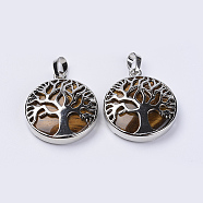 Natural Tiger Eye Pendants, with Platinum Plated Brass Findings, Flat Round with Tree of Life, 31x27x8mm, Hole: 3.5x7mm(G-P350-D08)