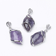 Natural Amethyst Pendants, with Brass Findings, Horse Eye, Platinum, 38x17x7mm, Hole: 3x4mm(X-G-E423-05P)