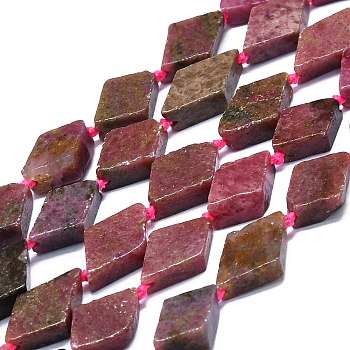 Natural Rhodonite Beads Strands, Rhombus, 20~22x12~13x4~5mm, Hole: 1mm, about 19pcs/strand, 16.73''(42.5cm)