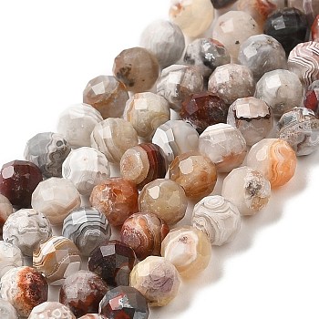 Natural Mexican Lace Agate Bead Strands, Round, Faceted, 5mm, Hole: 0.7mm, about 75pcs/strand, 15.55''(39.5cm)