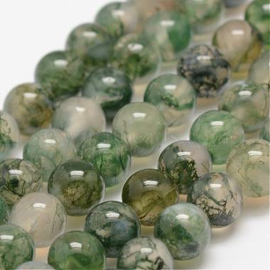 8mm SeaGreen Round Moss Agate Beads