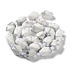 Natural Howlite Beads Strands(G-C182-23-01)-3