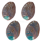 Natural Abalone Shell Display Decoration, for Home Office Desktop Decoration, Shell Shape, Colorful, 88~92x60~63x17~19mm(FIND-WH0817-038A)