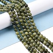 Natural Gemstone Beads, Taiwan Jade, Natural Energy Stone Healing Power for Jewelry Making, Round, Olive Drab, 6mm, Hole: 1mm, about 15~16inch/strand, about 59~61pcs/strand.(GSR6mmC032)