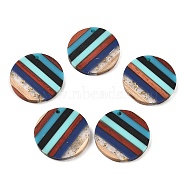 Transparent Resin & Walnut Wood Pendants, Flat Round Charms with Gold Foil, Colorful, 28x3mm, Hole: 2mm(RESI-E050-10)