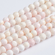 Natural Pink Shell Beads Strands, Round, 5~5.5mm, Hole: 0.5mm, about 80pcs/strand, 15.94 inch(40.5cm)(SSHEL-L016-18A)