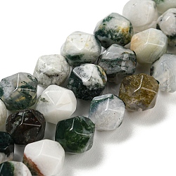 Natural Tree Agate Beads Strands, Faceted, Polygon, 7.5~8.5x7.5~8x7.5~8mm, Hole: 1.4mm, about 44~49pcs/strand, 14.25~14.96 inch(36.2~38cm)(G-C085-A03-01)