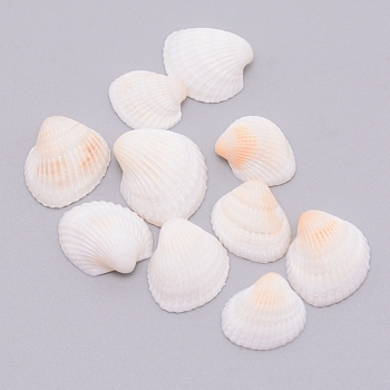 Natural Conch Shell Beads, Undrilled/No Hole Beads, Seashell Color, 15~20.1x13~20.1x6~9.5mm, 10pcs/bag