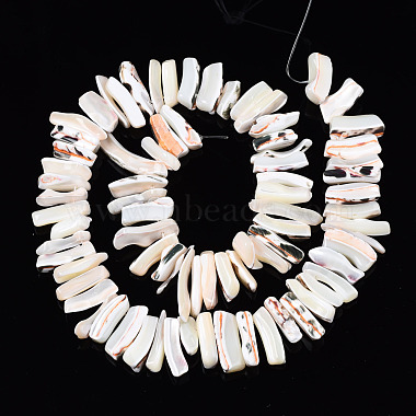 Natural Trochid Shell/Trochus Shell Beads Strands(SSHEL-T014-41A)-2
