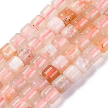 Natural Cherry Blossom Agate Beads Strands, Column, 6x6mm, Hole: 0.6mm, about 64pcs/strand, 14.84''(37.7cm)