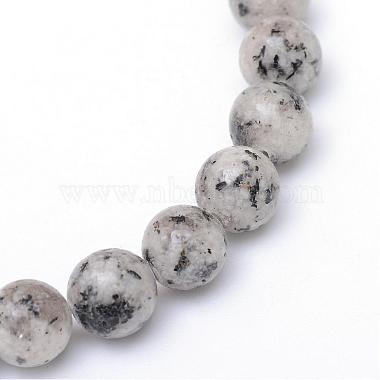 Natural Sesame Jasper/Kiwi Jasper Bead Strands(G-R345-8mm-11)-2