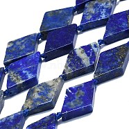 Natural Lapis Lazuli Beads Strands, Rhombus, 20~22x12~13x4~5mm, Hole: 1mm, about 19pcs/strand, 16.73''(42.5cm)(G-K245-E05-A02)