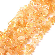 Natural Citrine Stone Beads Strands, Nuggets, 8~11x9~14x1.5~5mm, Hole: 0.8mm, about 74pcs/strand, 15.55''(39.5cm)(G-E569-J19)