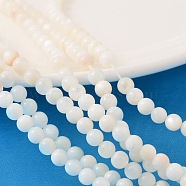 Natural Shell Beads Strands, Dyed, Round, White, about 5.5mm in diameter, hole: 1mm, about 72pcs/strand, 15.7 inch(PRS001Y)