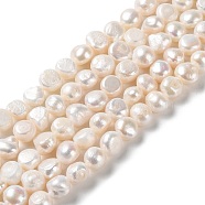 Natural Cultured Freshwater Pearl Beads Strands, Two Sides Polished, Grade 2A, PapayaWhip, 10.5~12x7~8.5mm, Hole: 0.6mm, about 34pcs/strand, 14.17 inch(36cm)(PEAR-E018-71)
