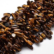 Natural Tiger Eye Chip Beads Strands, 8~30x5~12mm, Hole: 1mm, about 15.3 inch~15.7 inch(X-G-E271-38)