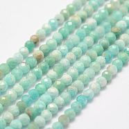Natural Amazonite Bead Strands, Faceted, Round, 2.5~3mm, Hole: 1mm, about 146pcs/strand, 15.3 inch(X-G-P279-42-3mm)