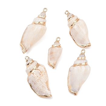 5Pcs Electroplated Natural Shell Pendants, Conch Shape Charms, Golden, 26~52x13~23x15~17mm, Hole: 2mm