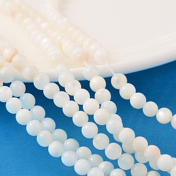 Natural Shell Beads Strands, Dyed, Round, White, about 5.5mm in diameter, hole: 1mm, about 72pcs/strand, 15.7 inch