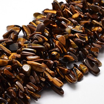 Natural Tiger Eye Chip Beads Strands, 8~30x5~12mm, Hole: 1mm, about 15.3 inch~15.7 inch