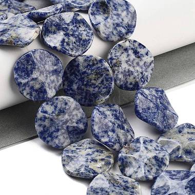 Natural Blue Spot Jasper Beads Strands(G-Z061-B07-02)-2